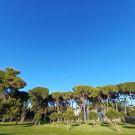 Family Apartments Zadar - Ryanair Exclusive Luaran gambar
