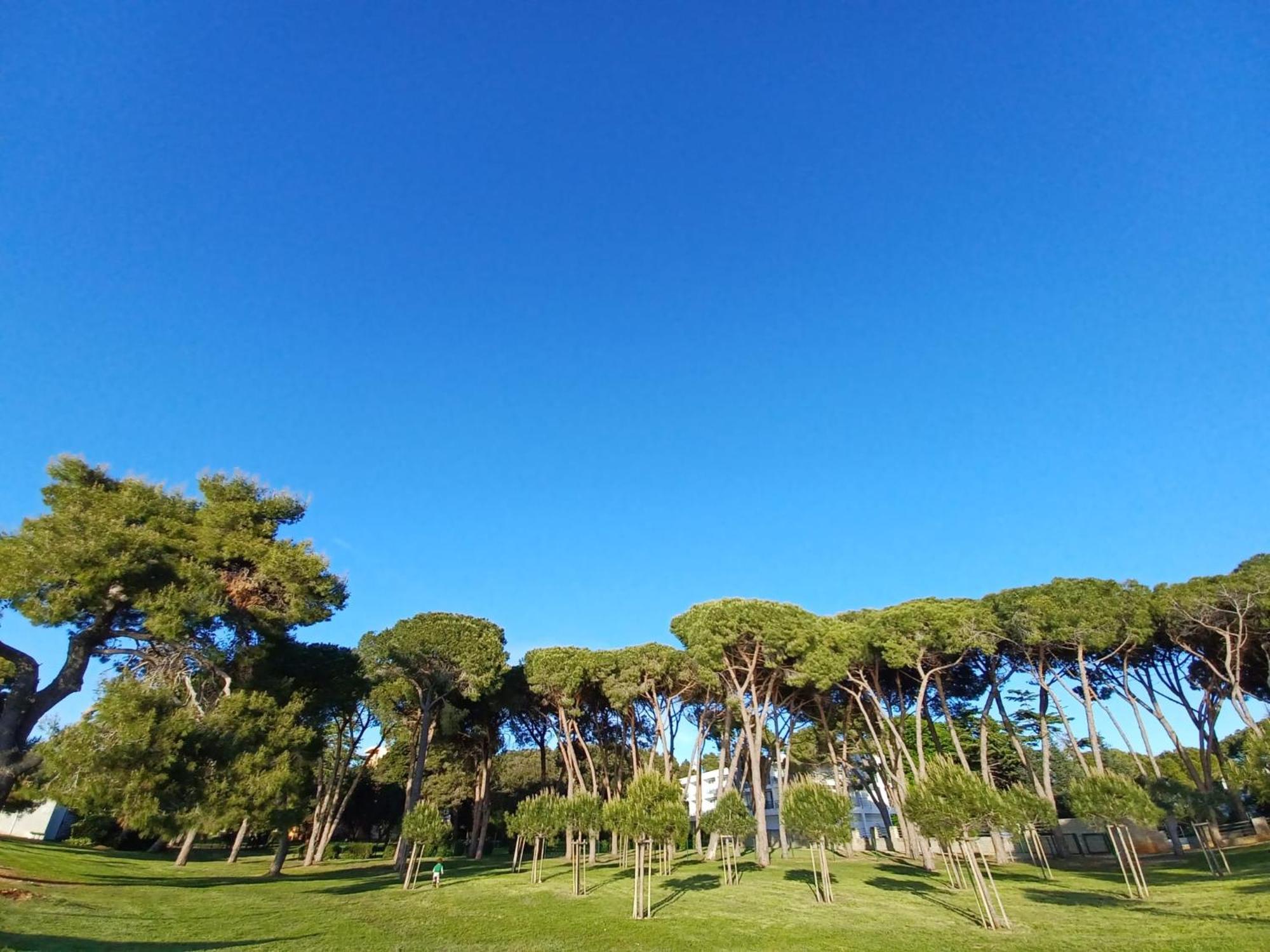 Family Apartments Zadar - Ryanair Exclusive Luaran gambar