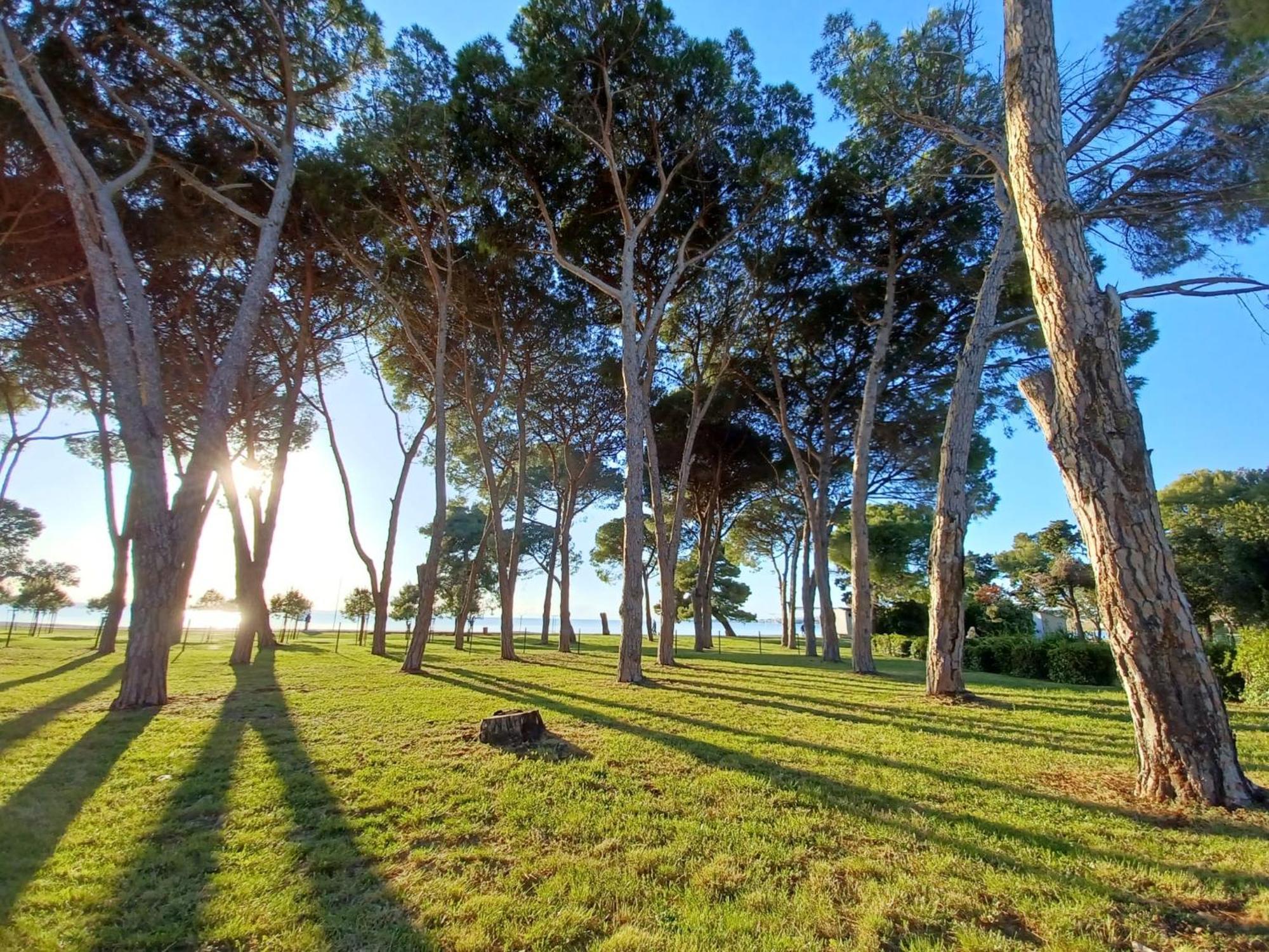 Family Apartments Zadar - Ryanair Exclusive Luaran gambar